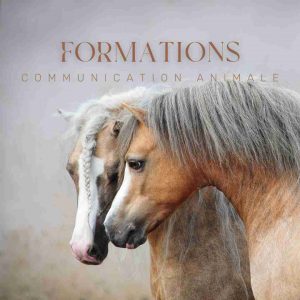 Formations communication animale