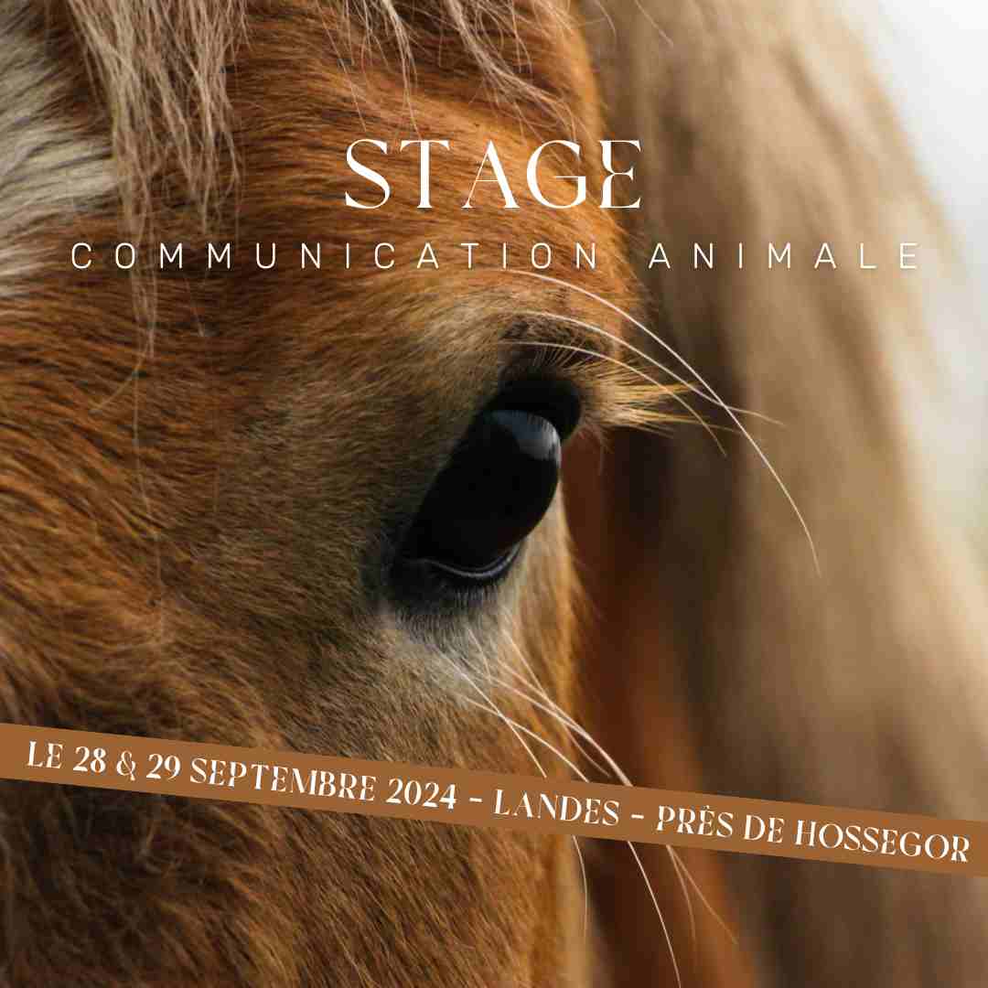 Stage communication animale septembre
