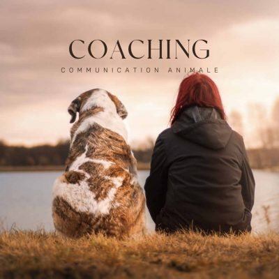 coaching communication animale